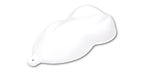 Super Bright White Low Gloss Single Stage Auto Paint Kit