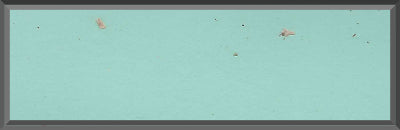 Original Factory Seamist Turquoise Paint Code 917 from 1961 Chevrolet Impala