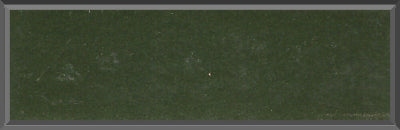 Original Factory Dark Green Poly Paint Code 66 from 1968 Dodge Charger