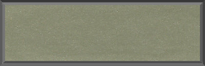 Original Factory Light Green Poly Paint Code F from 1968 Dodge Charger