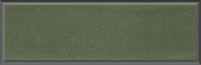 Original Factory Medium Green Poly Paint Code T from 1968 Dodge Charger