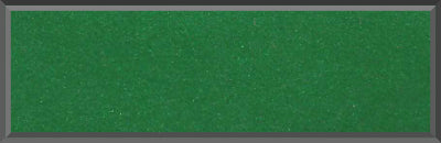 Original Factory Rallye Green Poly Paint Code 79 from 1969 Chevrolet Chevelle
