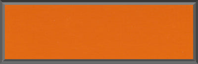 Original Factory Orange Paint Code 999 from 1969 Dodge Charger