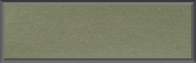 Original Factory Light Green Poly Paint Code F3 from 1969 Dodge Charger