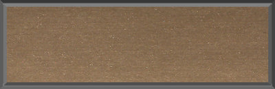 Original Factory Light Bronze Poly Paint Code T3 from 1969 Dodge Charger