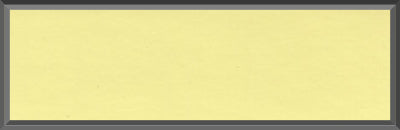 Original Factory Yellow Paint Code Y2 from 1969 Dodge Charger