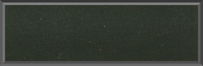 Original Factory Midnight Green Poly Paint Code 57 from 1969 Pontiac GTO
