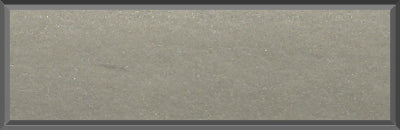 Original Factory Silver Poly Paint Code A4 from 1970 Dodge Charger