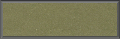 Original Factory Light Green Poly Paint Code F4 from 1970 Dodge Charger