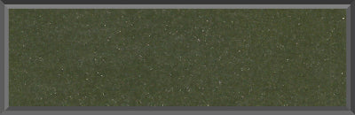 Original Factory Dark Green Poly Paint Code F8 from 1970 Dodge Charger