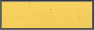 Original Factory Bright Yellow Paint Code Y1 from 1970 Dodge Charger