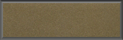 Original Factory Gold Poly Paint Code Y6 from 1970 Dodge Charger