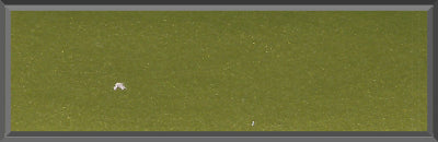 Original Factory Keylime Green Poly Paint Code 43 from 1970 Pontiac GTO