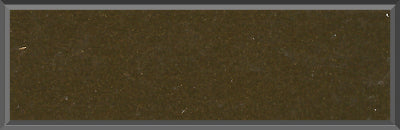Original Factory Dark Gold Poly Paint Code Y9 from 1971 Dodge Charger