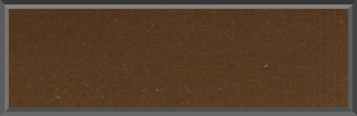 Original Factory Dark Tan Poly Paint Code T8 from 1972 Dodge Charger