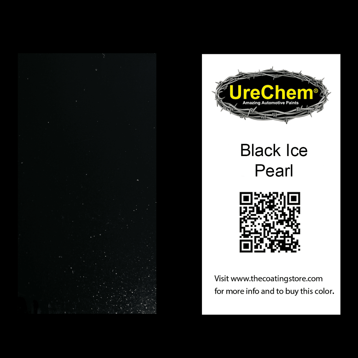 Black Ice Pearl Paint Chip Sample