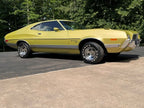 Ford Code 4B M5025 Bright Green Gold Poly Basecoat Clearcoat Auto Paint Kit Options