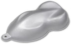 Stellar Silver Metallic Low Gloss Single Stage Auto Paint Kit