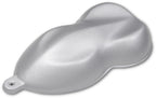 Fine Silver Metallic Low Gloss Single Stage Auto Paint Kit