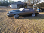 Static Grey Pearl Basecoat Clearcoat Auto Paint Kit Options