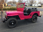 Hot Pink Pearl Basecoat Clearcoat Auto Paint Kit Options