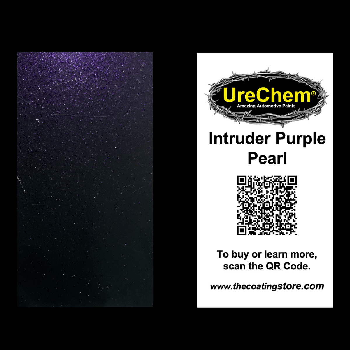 Intruder Purple Pearl Color Chip Sample Swatch