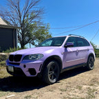 Lavender Low Gloss Single Stage Auto Paint Kit