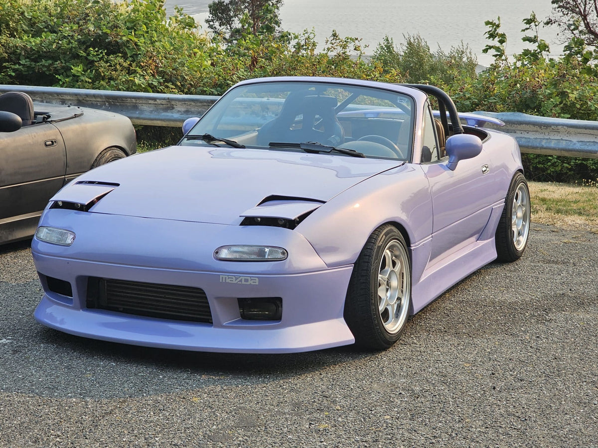 Lavender Frost Metallic Basecoat Clearcoat Auto Paint Kit Options