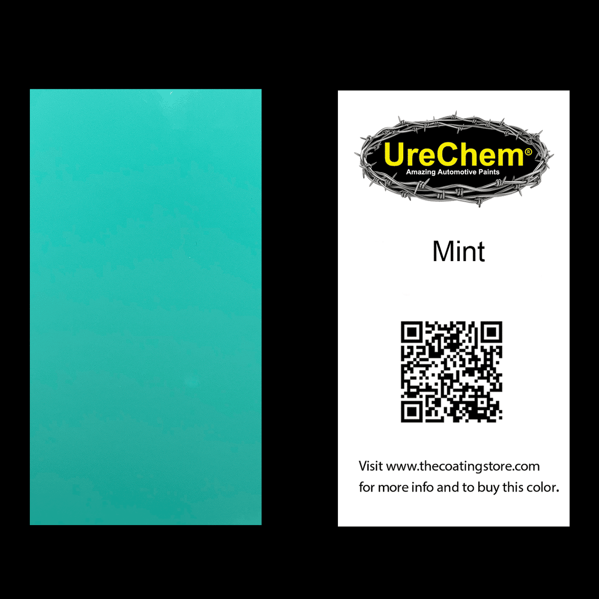 Mint Color Chip Sample Swatch