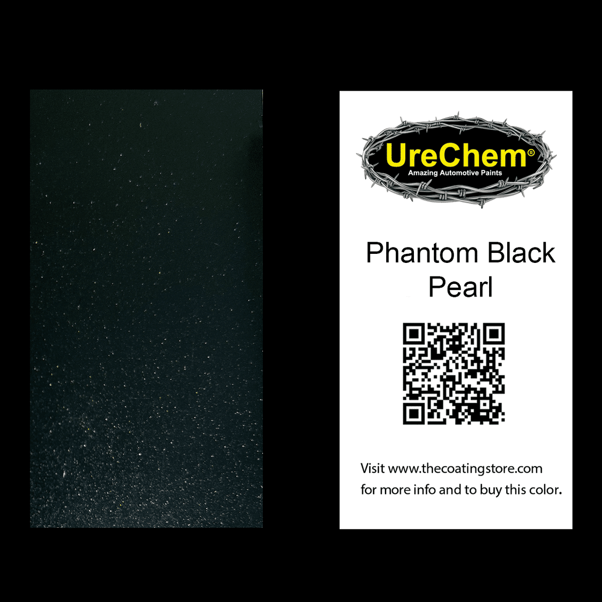 Phantom Black Pearl Paint Chip Sample