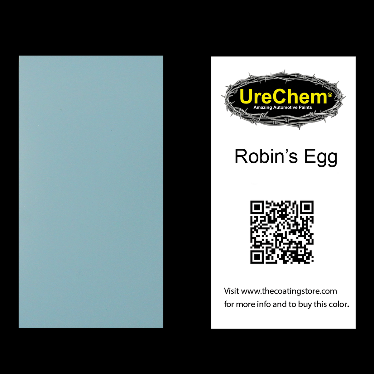 Robin's Egg Color Chip Sample Swatch
