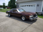 Root Beer Pearl Basecoat Clearcoat Auto Paint Kit Options