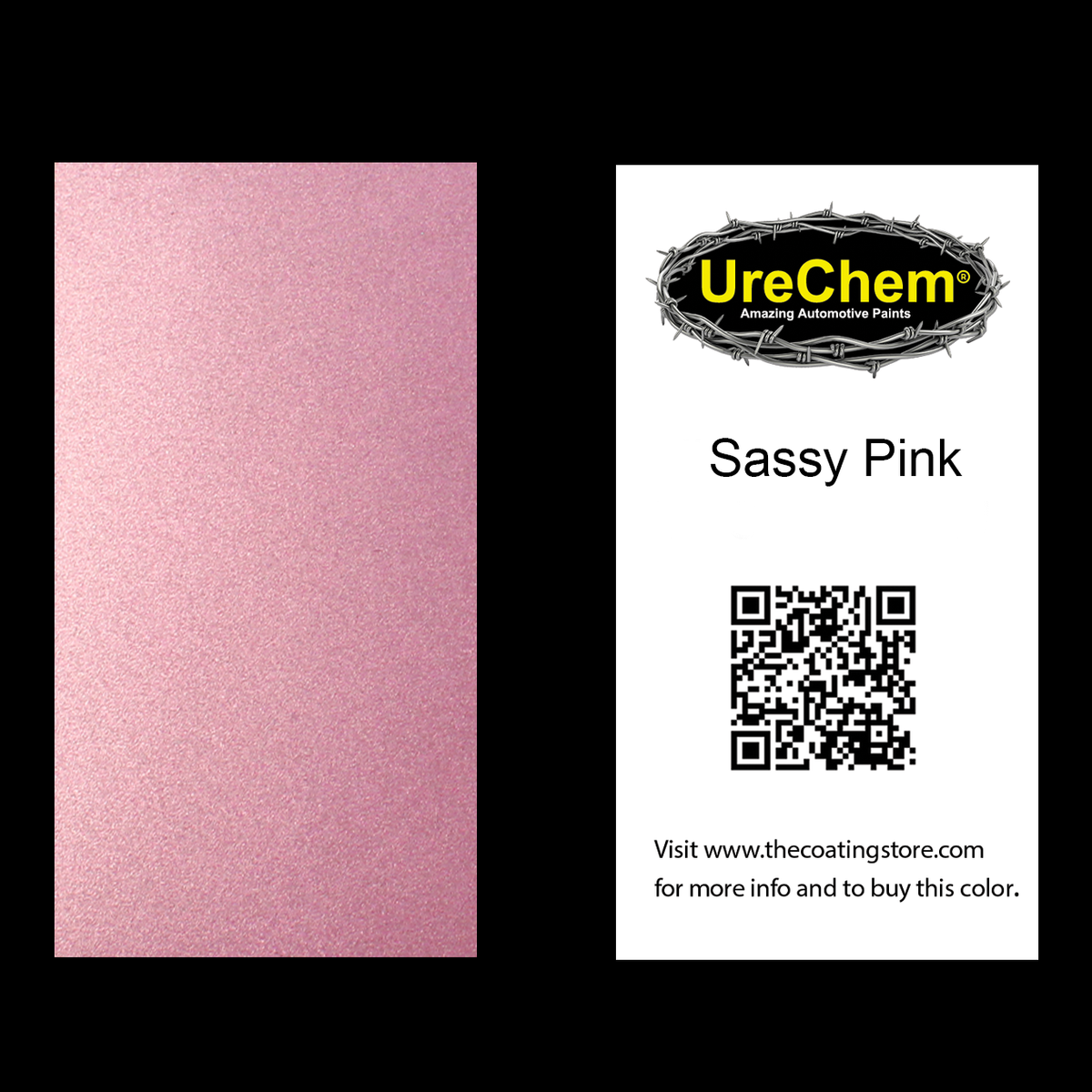 Sassy Pink Metallic Color Chip Sample Swatch