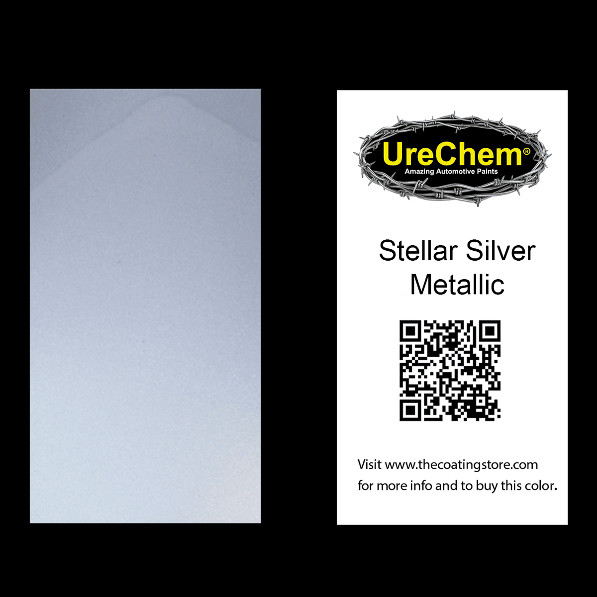 Stellar Silver Metallic Color Chip Sample Swatch