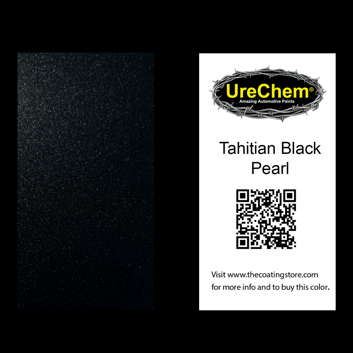 Tahitian Black Pearl Paint Chip Sample