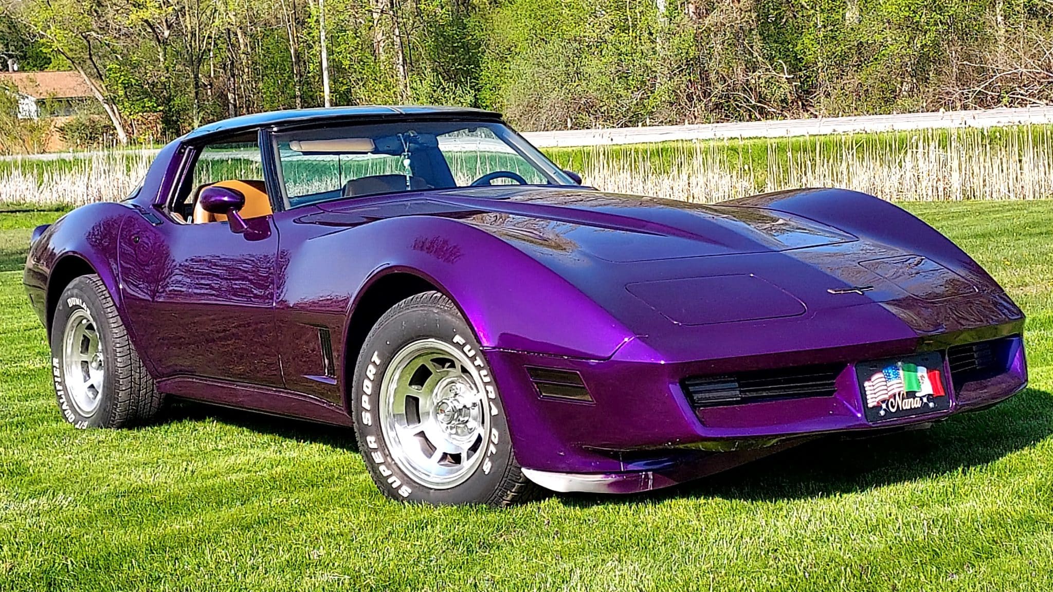 Purple Rain Pearl Basecoat Clearcoat Auto Paint Kit Options