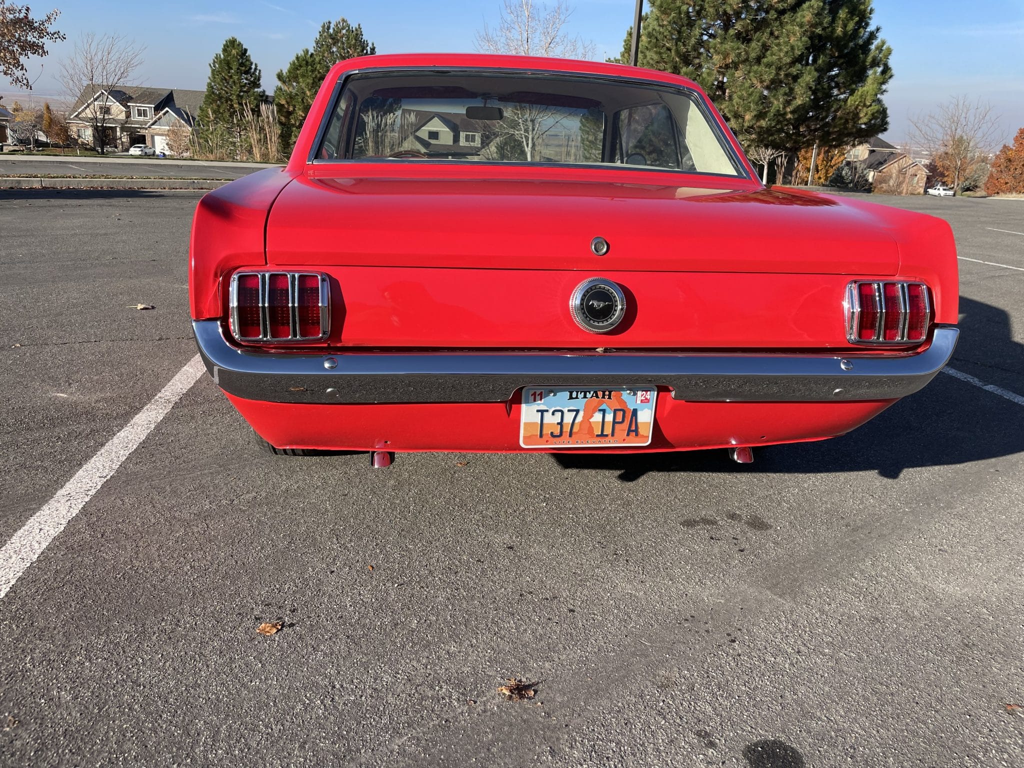 overdose Weld マークII VALINOマットサクラD5赤カーボン overdose Weld マークII VALINOマットサクラD5赤カーボン