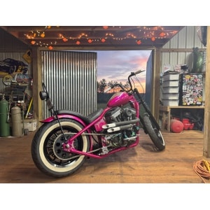Hot Pink Pearl High Gloss Single Stage Auto Paint Kit
