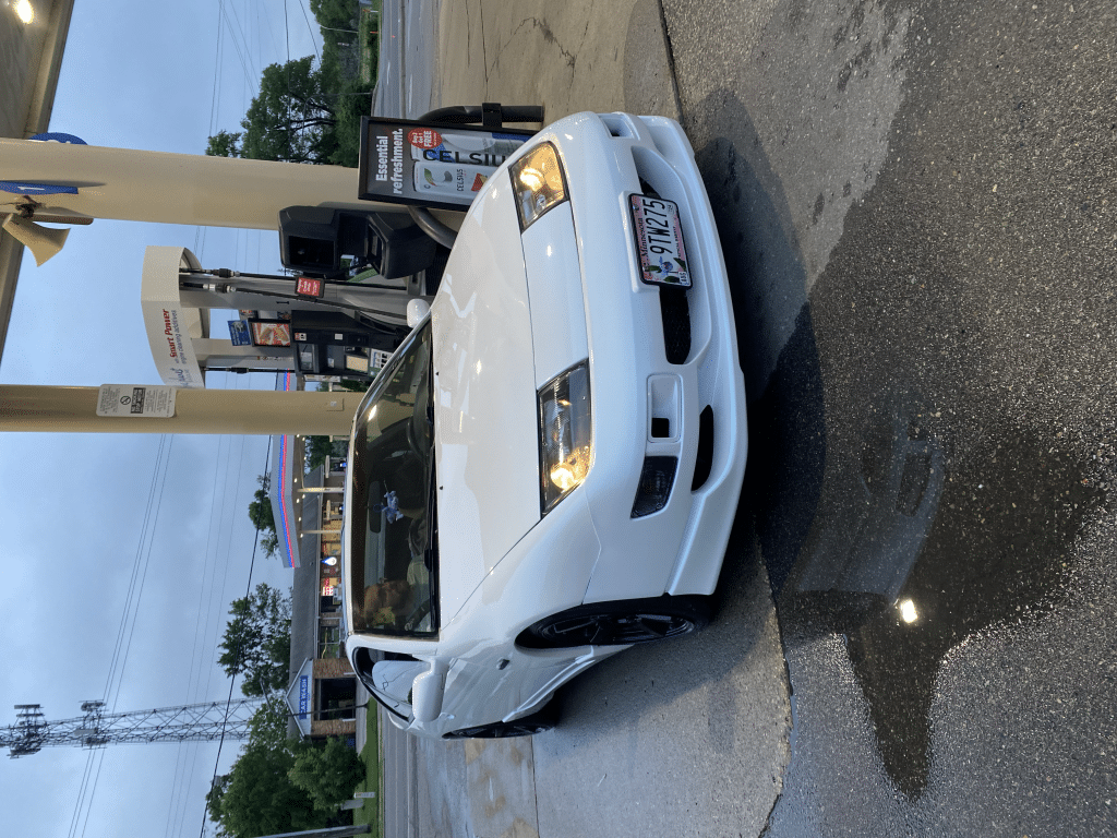 Image #4 from Ana Nelson